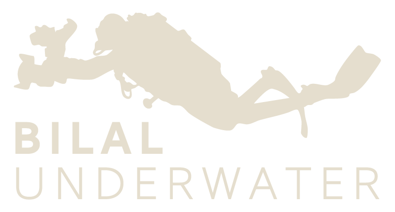 Bilal Underwater